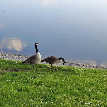 Pension-einfachanders *