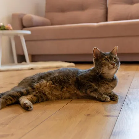 Pension-einfachanders Διαμέρισμα