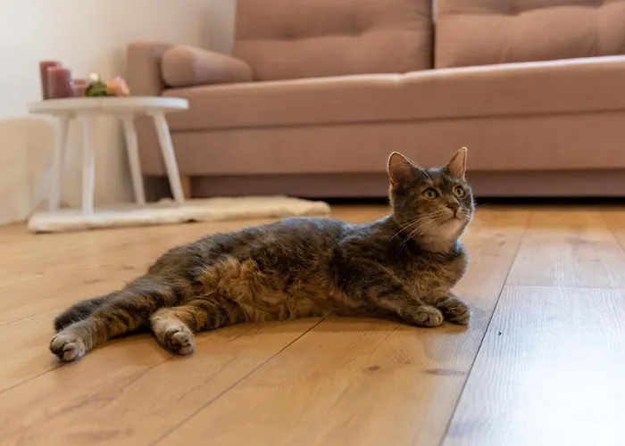 Pension-einfachanders Apartment